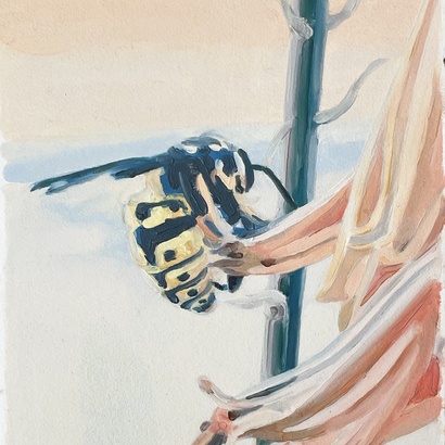 Bárbara Alegre: Dancing in the Sky, Waiting for the Sunset