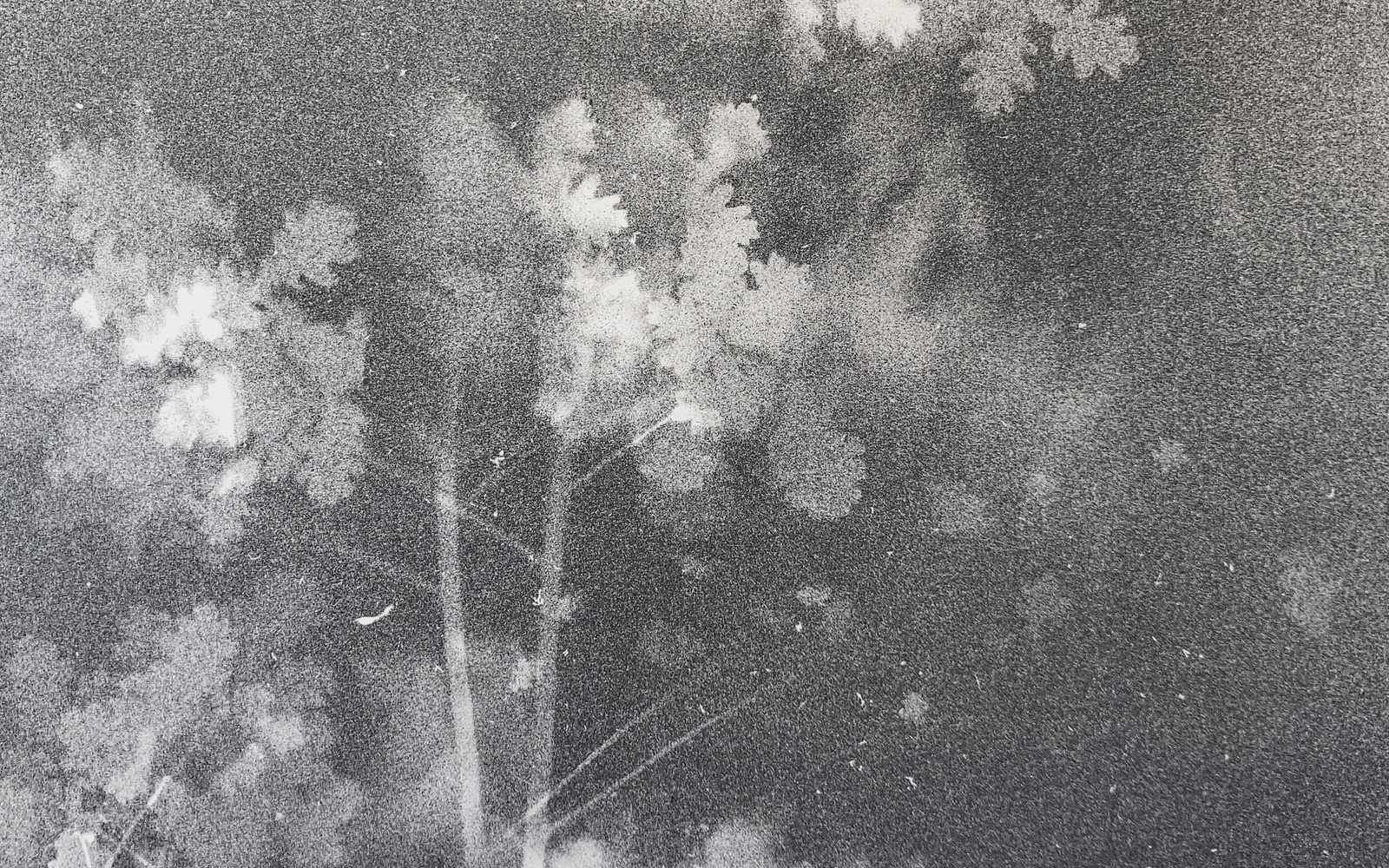 exhibition