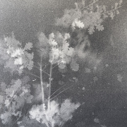 Silent Traces