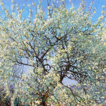 Andrew Gifford: Alone with Trees, Part 2